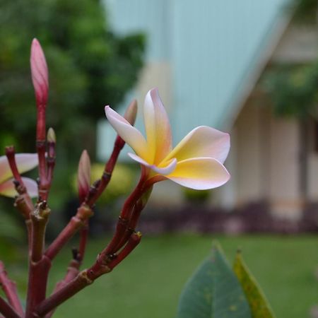 Touch Star Resort - Doi Inthanon Chom Thong Luaran gambar