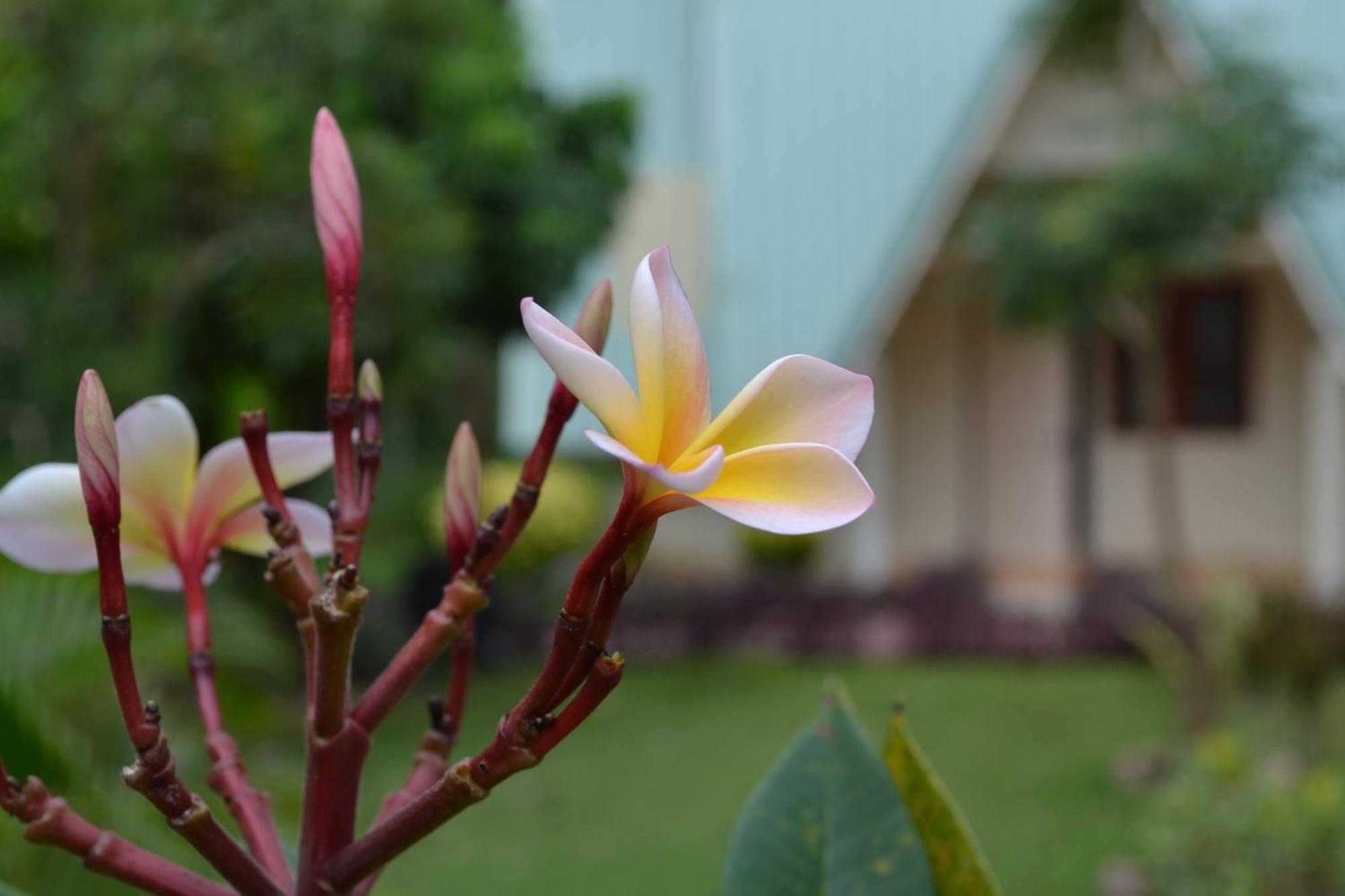 Touch Star Resort - Doi Inthanon Chom Thong Luaran gambar