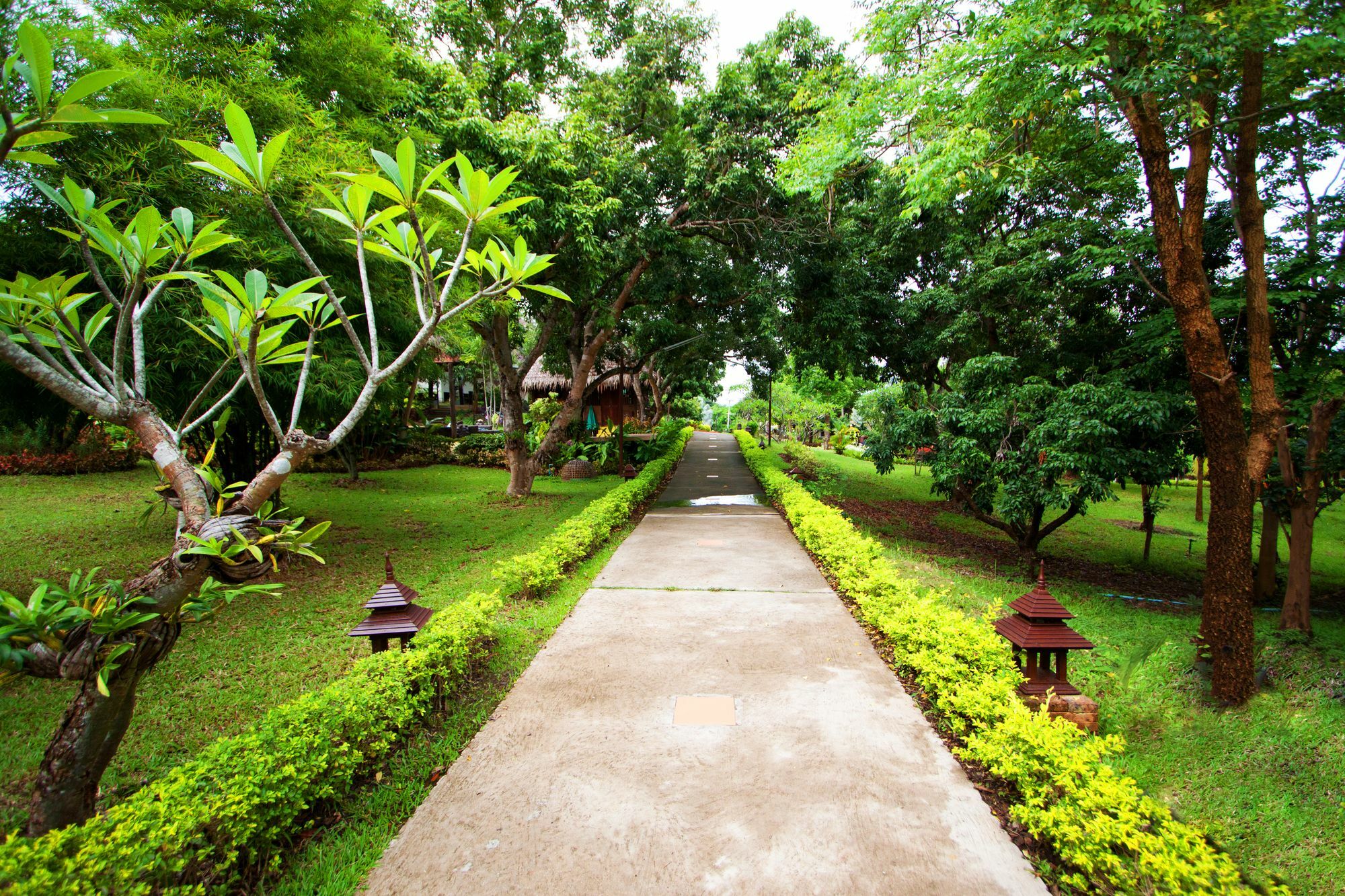 Touch Star Resort - Doi Inthanon Chom Thong Luaran gambar